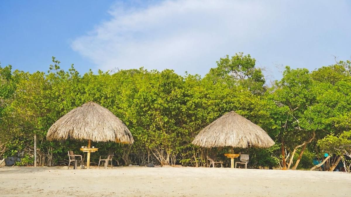 Isla Curiosa * Cartagena