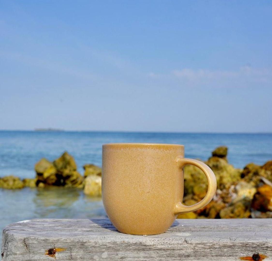 Isla Curiosa Сasa de vacaciones