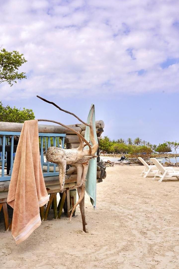 Isla Curiosa Сasa de vacaciones