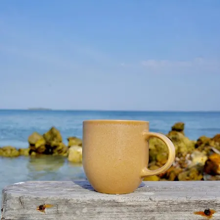 Isla Curiosa Сasa de vacaciones